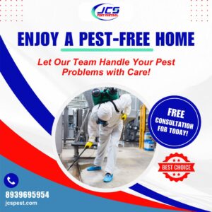 Pest control technician providing pest control services in Chennai for a safe and pest-free home environment.
