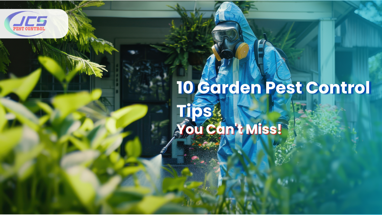 Top 10 Garden Pest Control You Need to Know About