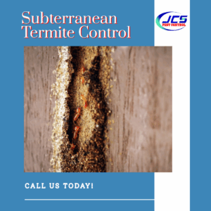 How to Protect Villas from Subterranean Termite