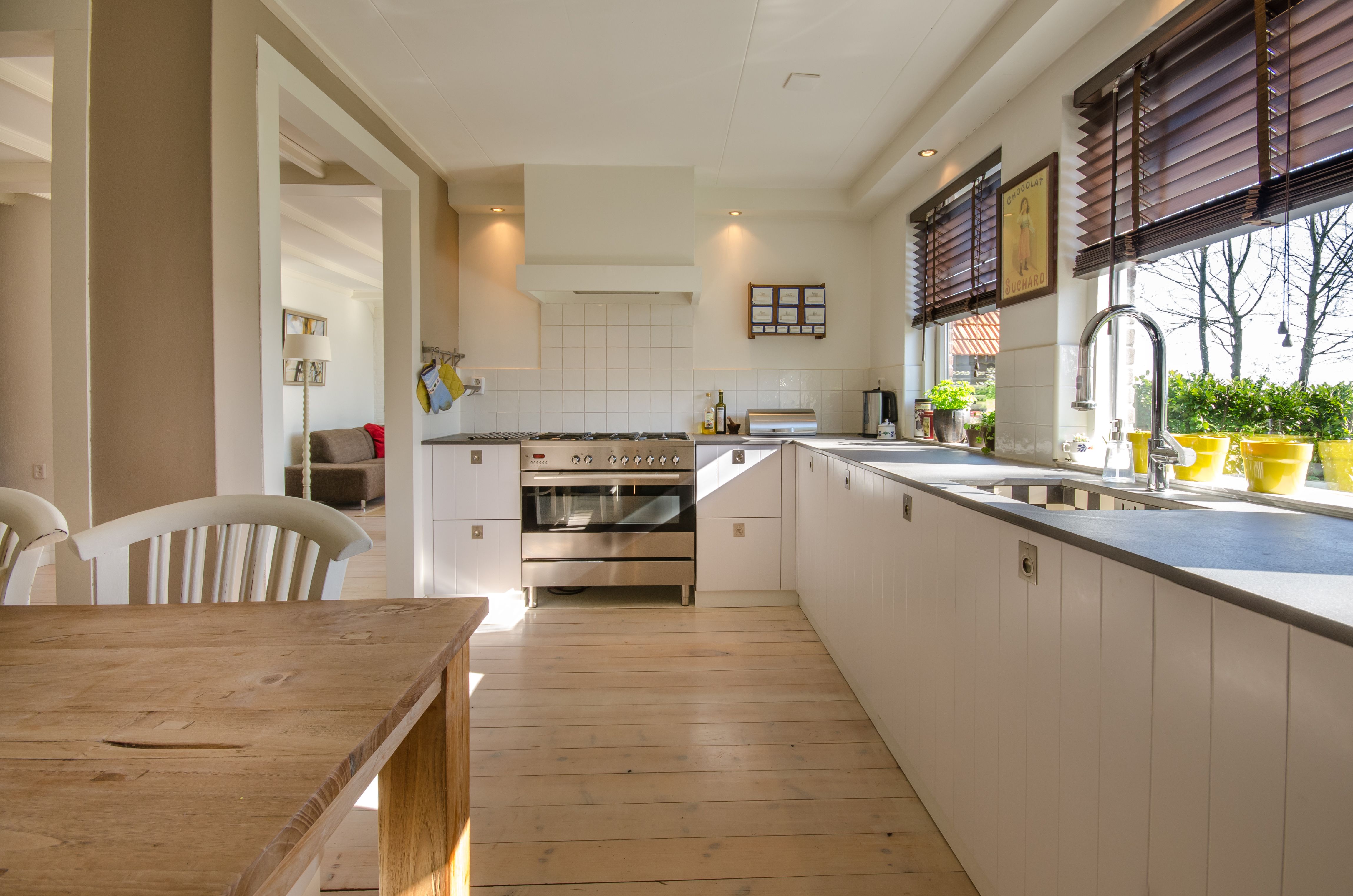 Pest-Free Homes