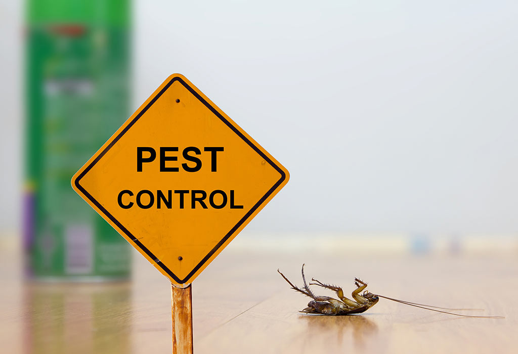 Is Preventive Pest Control Worth it?