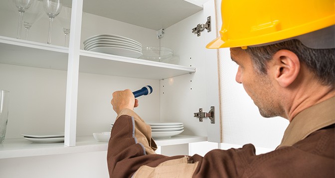 How often does pest control needs to be done