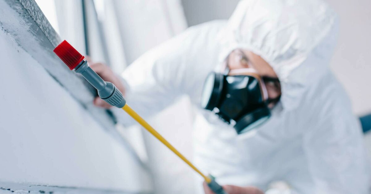 <strong>Why you should hire a professional pest control service?</strong>