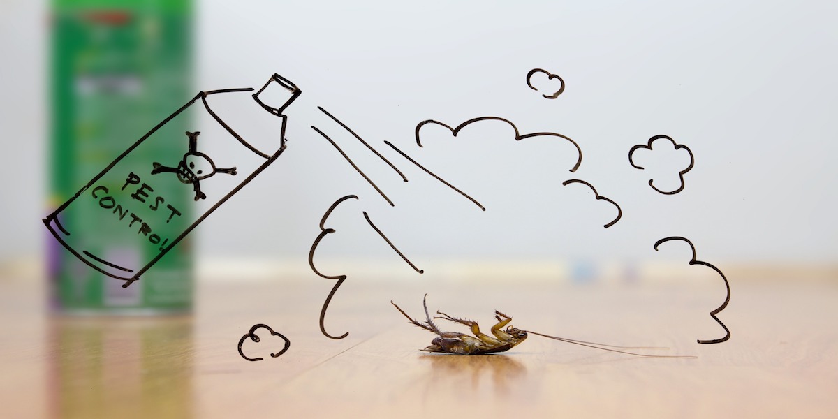 Tips to control the termite infestation in your home