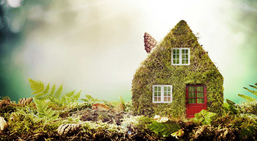 Guardians of Your Home and Nature: How Eco-Friendly Pest Control Services Protect Both