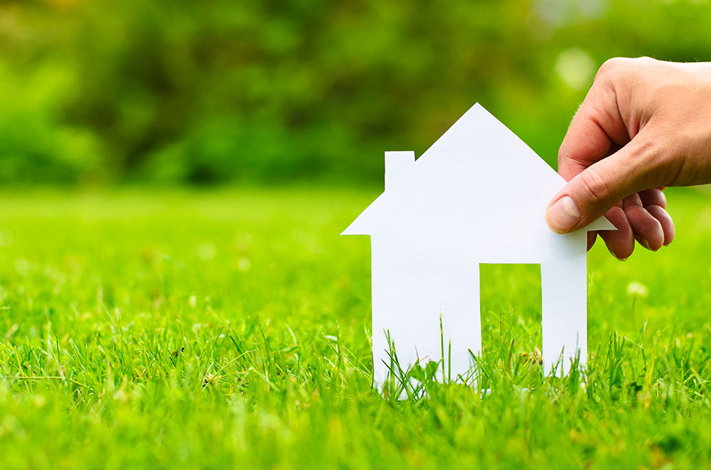 Safe and Eco-Friendly Pest Control Services: A Sustainable Approach to Home Protection
