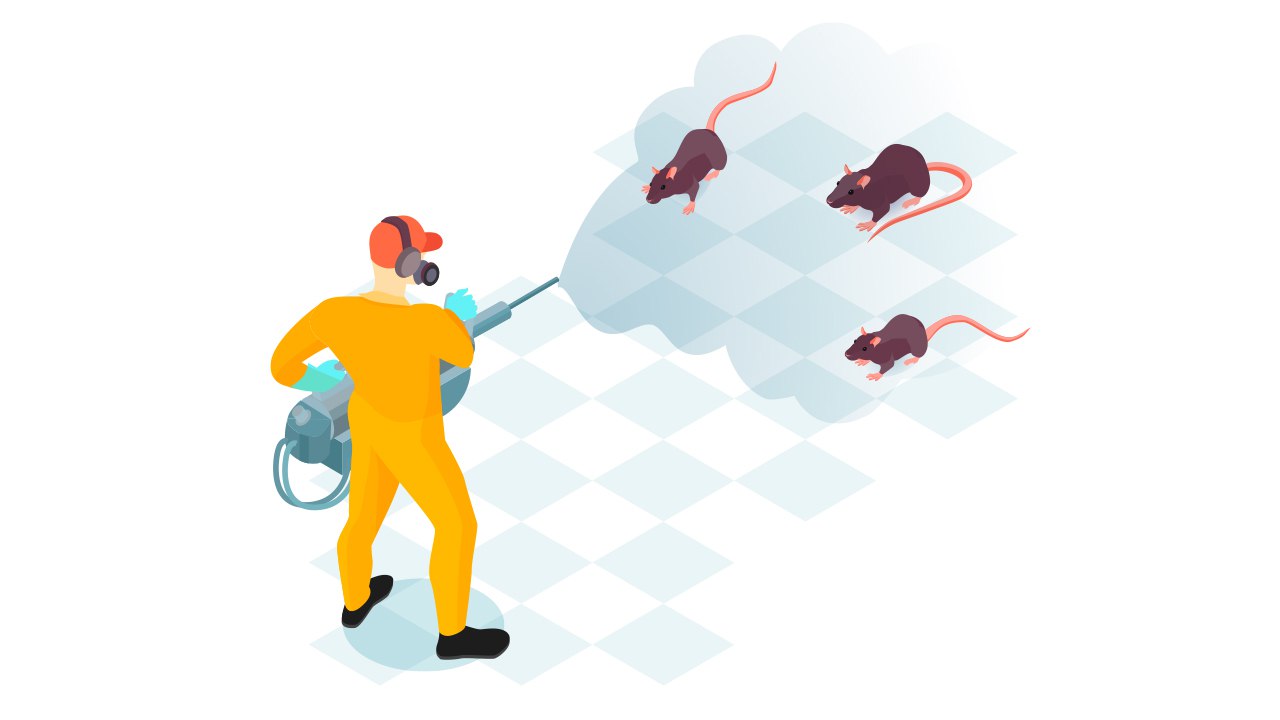 When should I be more vigilant for potential rodent issues in Chennai based on seasonal patterns?