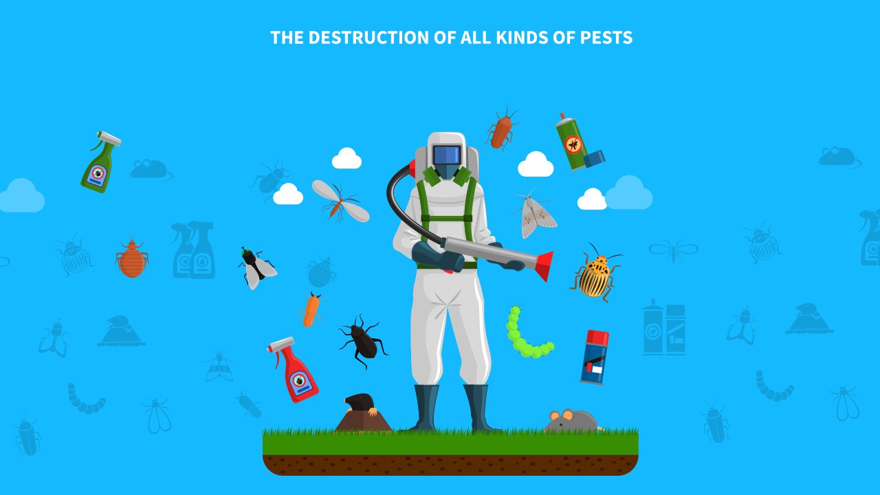 Climate Change's Influence on the Dynamics of Pest Infestations