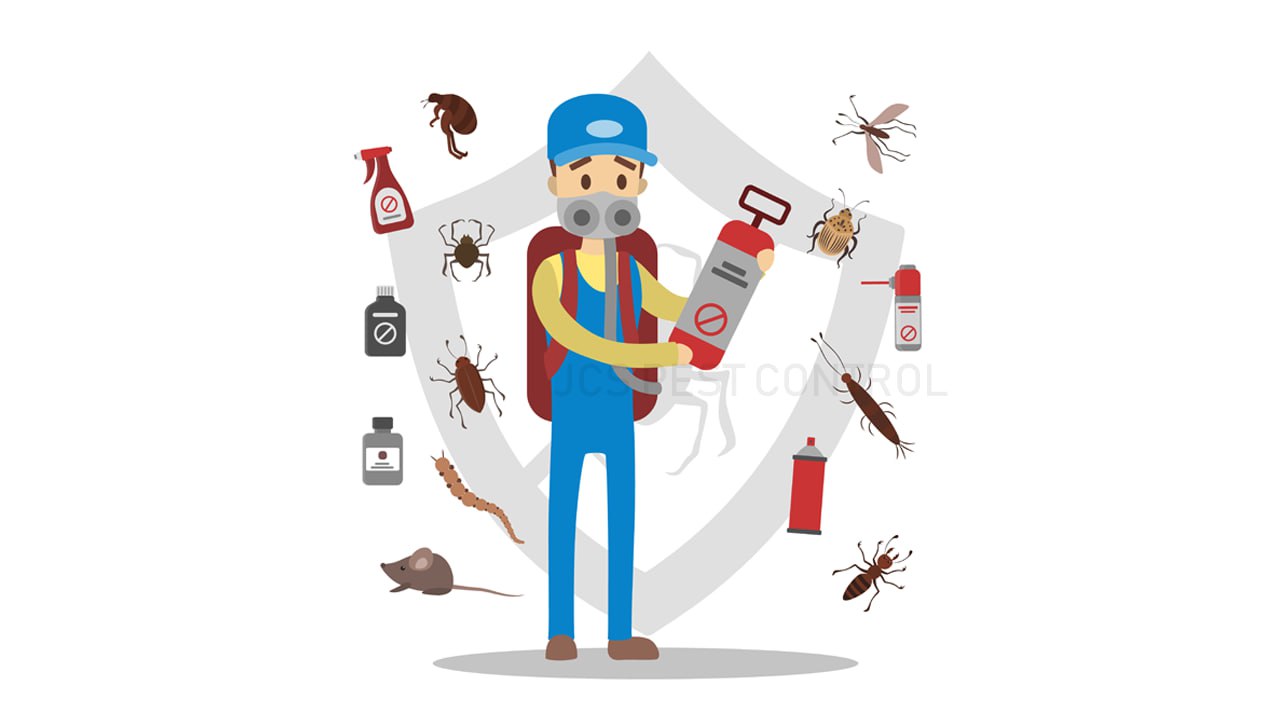 Pest-Proofing Your Home: A Step-by-Step Guide