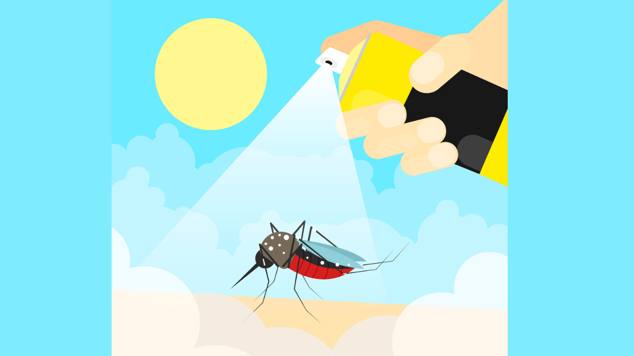 Summer Survival: The Need for Mosquito Pest Control