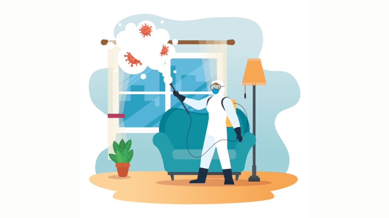 The Hidden Dangers of DIY Pest Control Gone Wrong