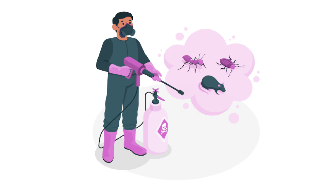 Promoting Home Happiness: The Cruciality of Regular Pest Control Practices