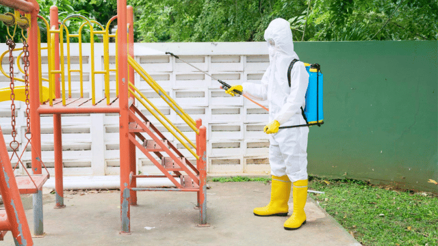 Building Blocks, Not Bug Blocks: Pest Management for Kindergarten Spaces