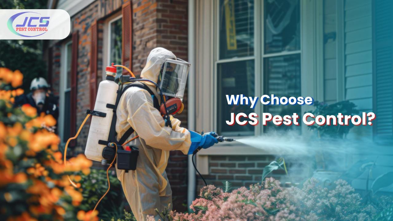 What Sets JCS Pest Control's Services in Chennai Apart?