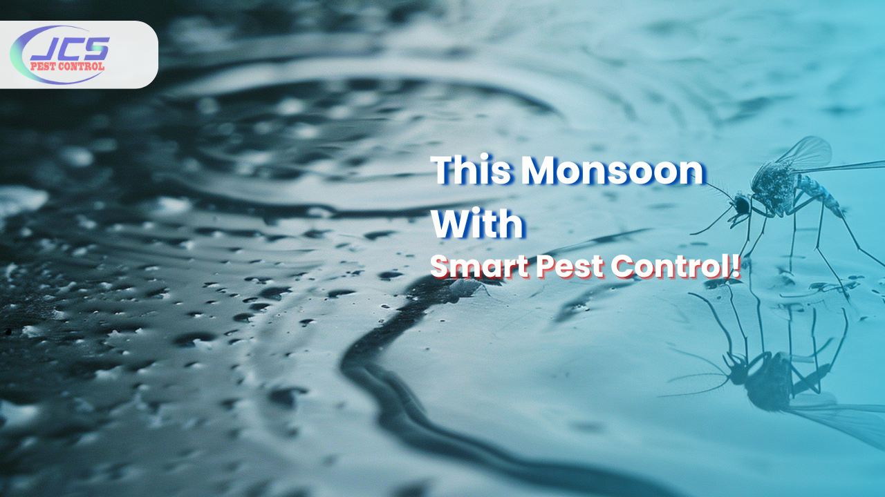 Stay Fever-Free This Rainy Season with Smart Pest Control Strategies