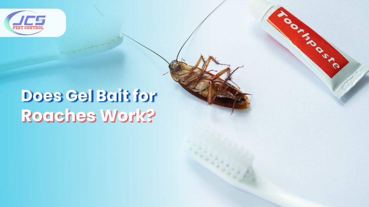 Does Gel Bait for Roaches Work?