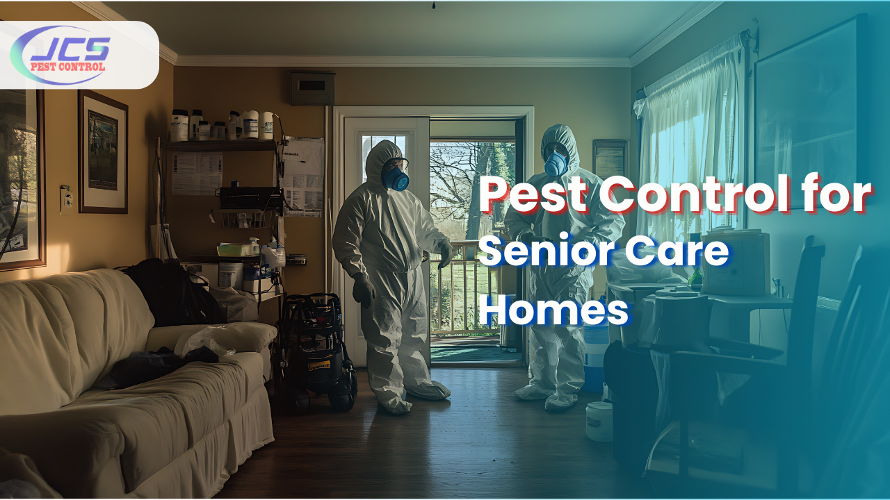 Maintaining a Healthy Living Space: Pest Control for Senior Care Homes