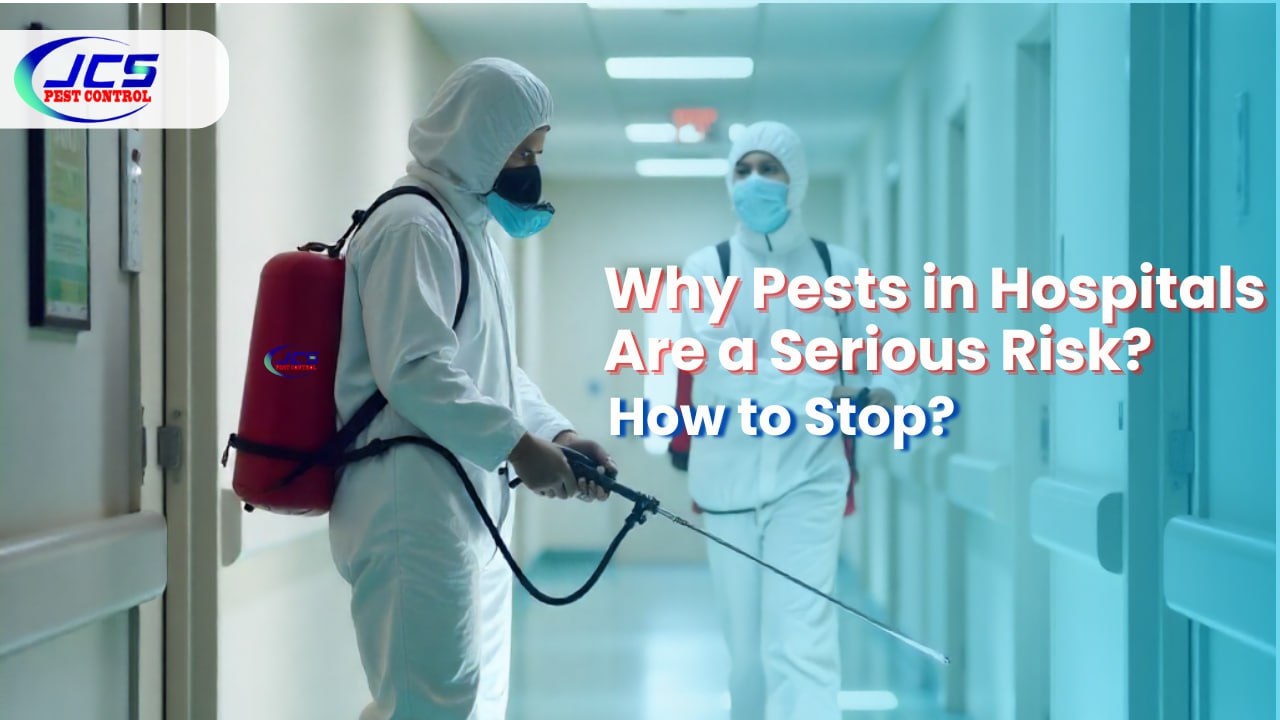 Why Pests in Hospitals Are a Serious Risk — and How to Stop Them